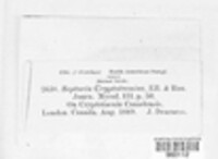 Image Associated With the Occurence